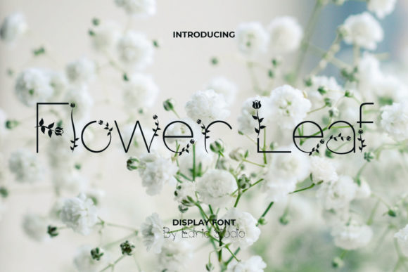 Flower Leaf: A Thoughtful Display Font for Real Design Work