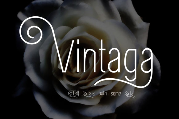 Vintaga: A Delicate Retro Display Font for Thoughtful Digital Branding